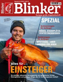 252-blinker