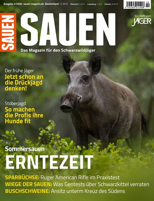 Sauen 2026-08-04