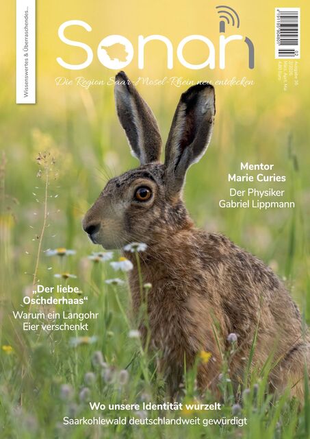 Sonah Ausgabe 02/2026