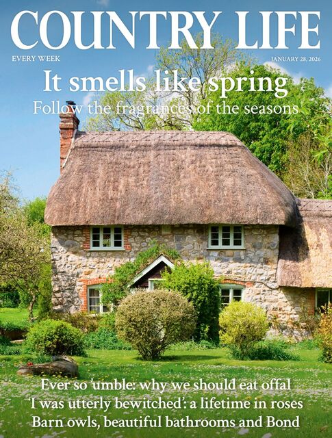 Country Life Magazine 2026-01-28