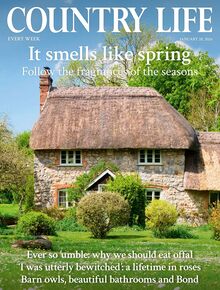 Country Life Magazine 2026-01-28
