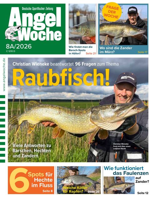 AngelWoche Ausgabe 08/2026