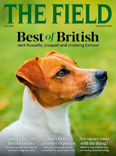 The Field Magazine 2026-05-14
