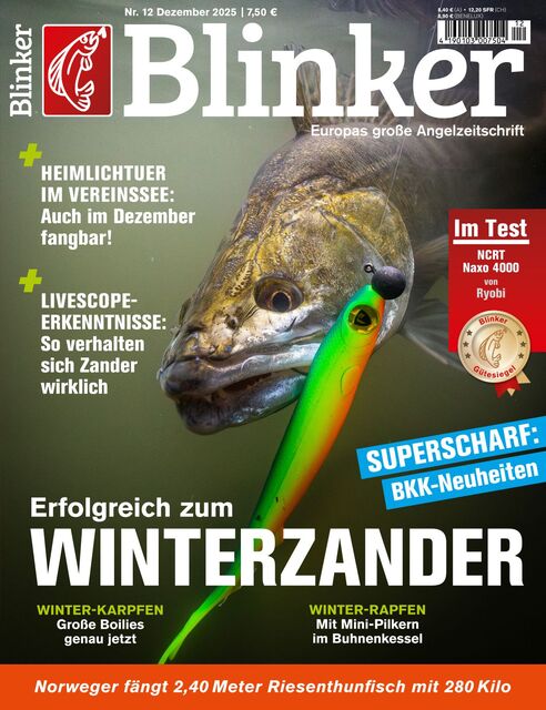 BLINKER Ausgabe 13/2025