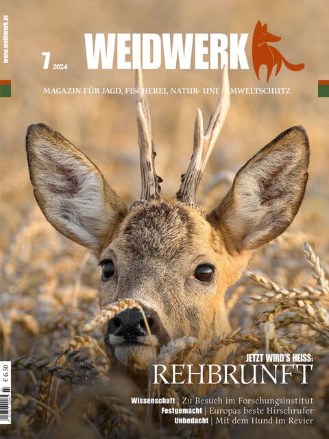 WEIDWERK Ausgabe 07/2024