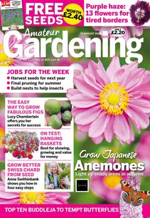 Amateur Gardening Magazine 2023-08-08