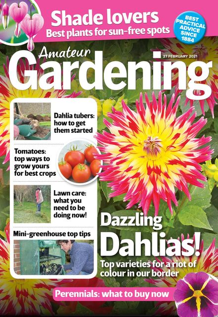 Gardening 2021 02 23 - Annual Bedding Plant Crossword Clue Gardening 2021 02 23 - Annual Bedding Plant Crossword Clue