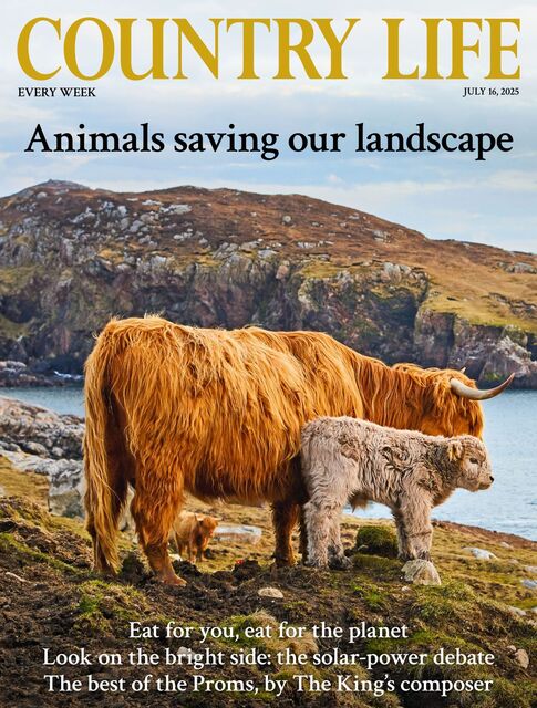 Country Life Magazine 2025-07-16
