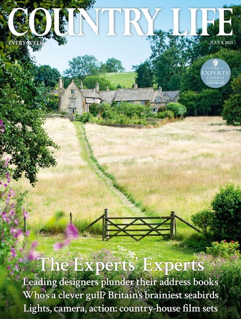 Country Life Magazine 2025-07-09