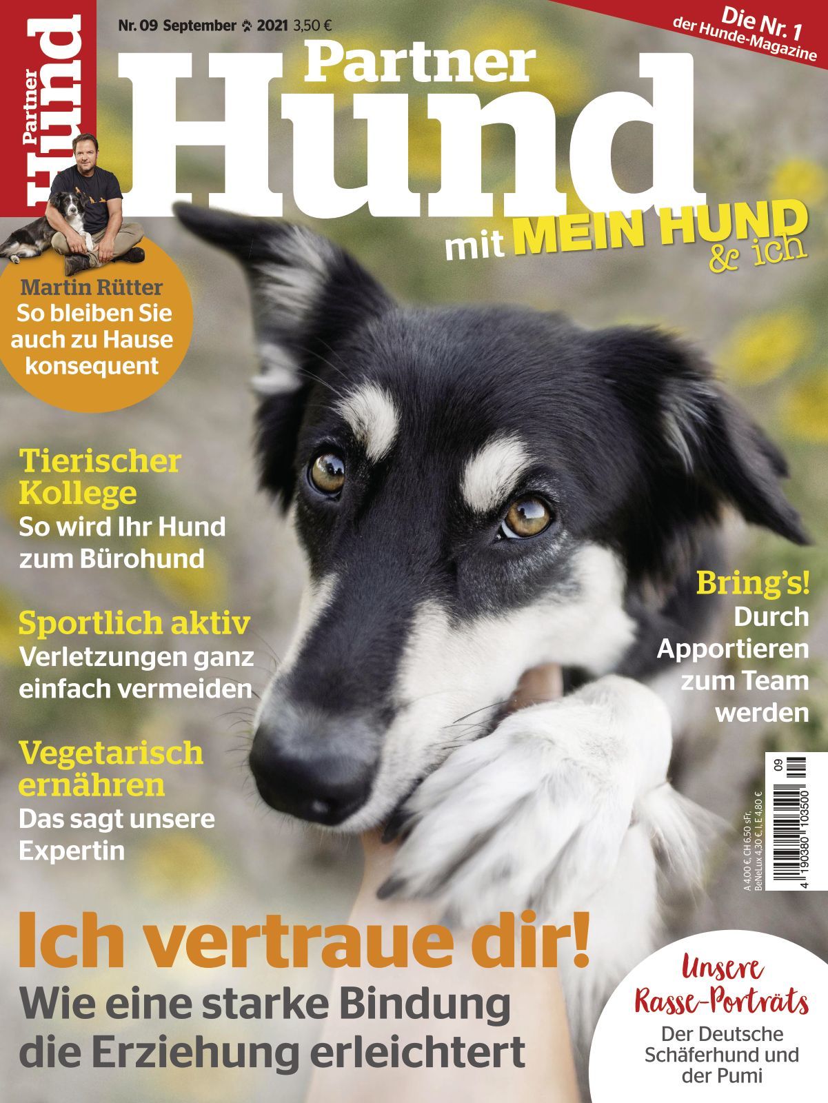 Diese Unglaubliche Hündin Heiß Und Aufgeregt Ist Absolut Und Komplett Nass! Diese Unglaubliche Hündin Heiß Und Aufgeregt Ist Absolut Und Komplett Nass!