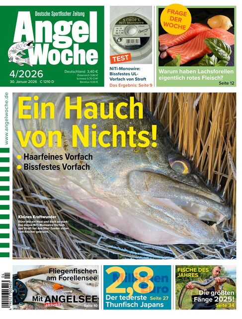AngelWoche Ausgabe 04/2026