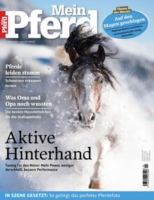 Mein Pferd Ausgabe 02/2025