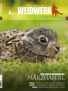 WEIDWERK Ausgabe 03/2024