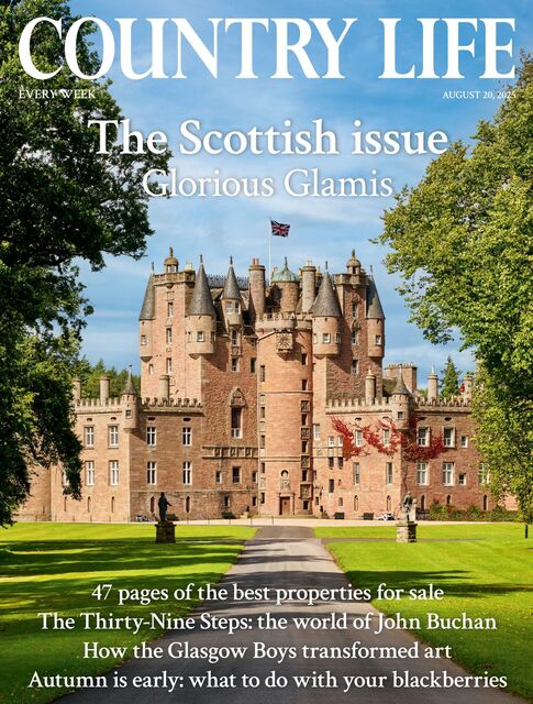 Country Life Magazine 2025-08-20
