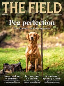 The Field Magazine 2026-02-12