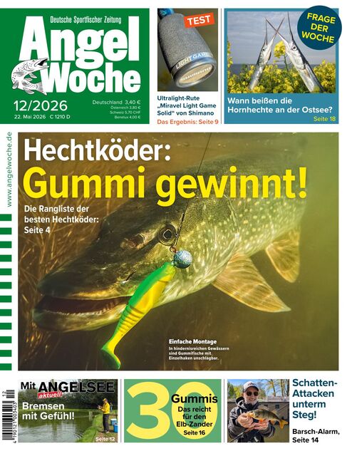 AngelWoche Ausgabe 13/2026