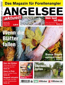 ANGELSEE aktuell Magazin Ausgabe 06/2022