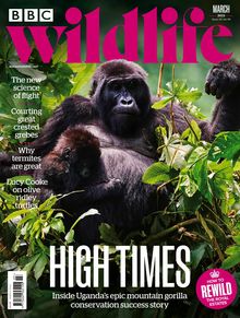 BBC Wildlife Magazine issue 03/2022