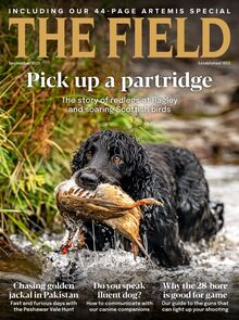 The Field Magazine 2025-08-14