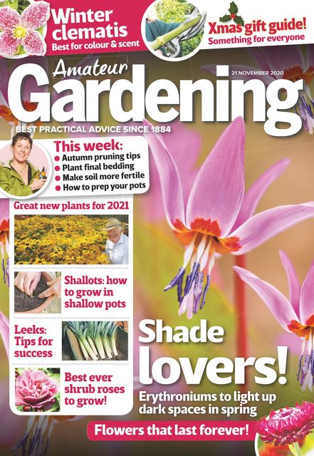 Gardening 2020 11 17 - Bedding Plant Crossword Clue 10 Letters Gardening 2020 11 17 - Bedding Plant Crossword Clue 10 Letters