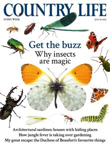 Country Life Magazine 2026-07-29