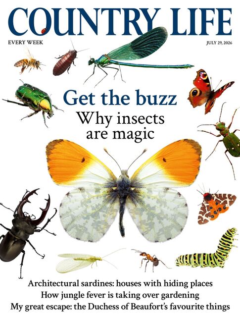 Country Life Magazine 2026-07-29