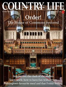 Country Life Magazine 2025-10-29