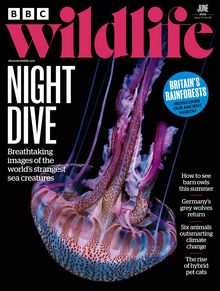 BBC Wildlife Magazine issue 06/2022