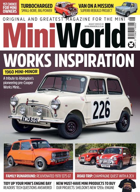 STAINLESS STEEL DOOR CHECK STRAP PINS MK2 MK3 MK4 MINI COOPER S MAYFAIR CITY GT