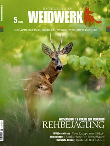 WEIDWERK Ausgabe 05/2024