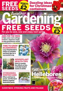 Amateur Gardening Magazine 2022-11-02