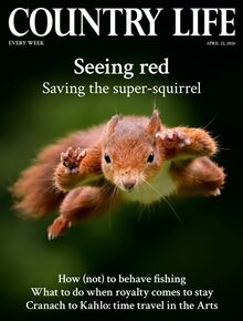 Country Life Magazine 2026-04-22