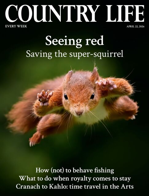 Country Life Magazine 2026-04-22