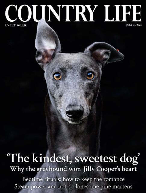 Country Life Magazine 2025-07-23