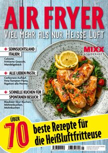 MIXX Airfryer-Spezial 1/26