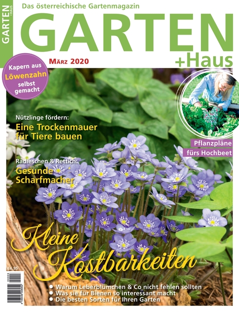 Ausgabe 02/2020