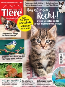 ein herz fur tiere ausgabe 09 2020