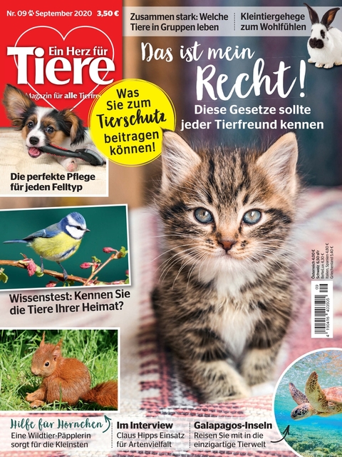 Ein Herz Fur Tiere Ausgabe 09 2020