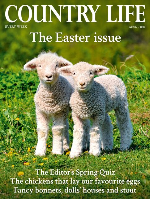 Country Life Magazine 2026-04-01